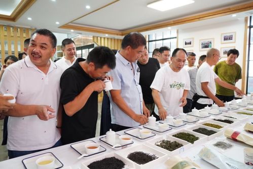 助推两地增收致富 遂松携手开展茶产业技能培训交流活动